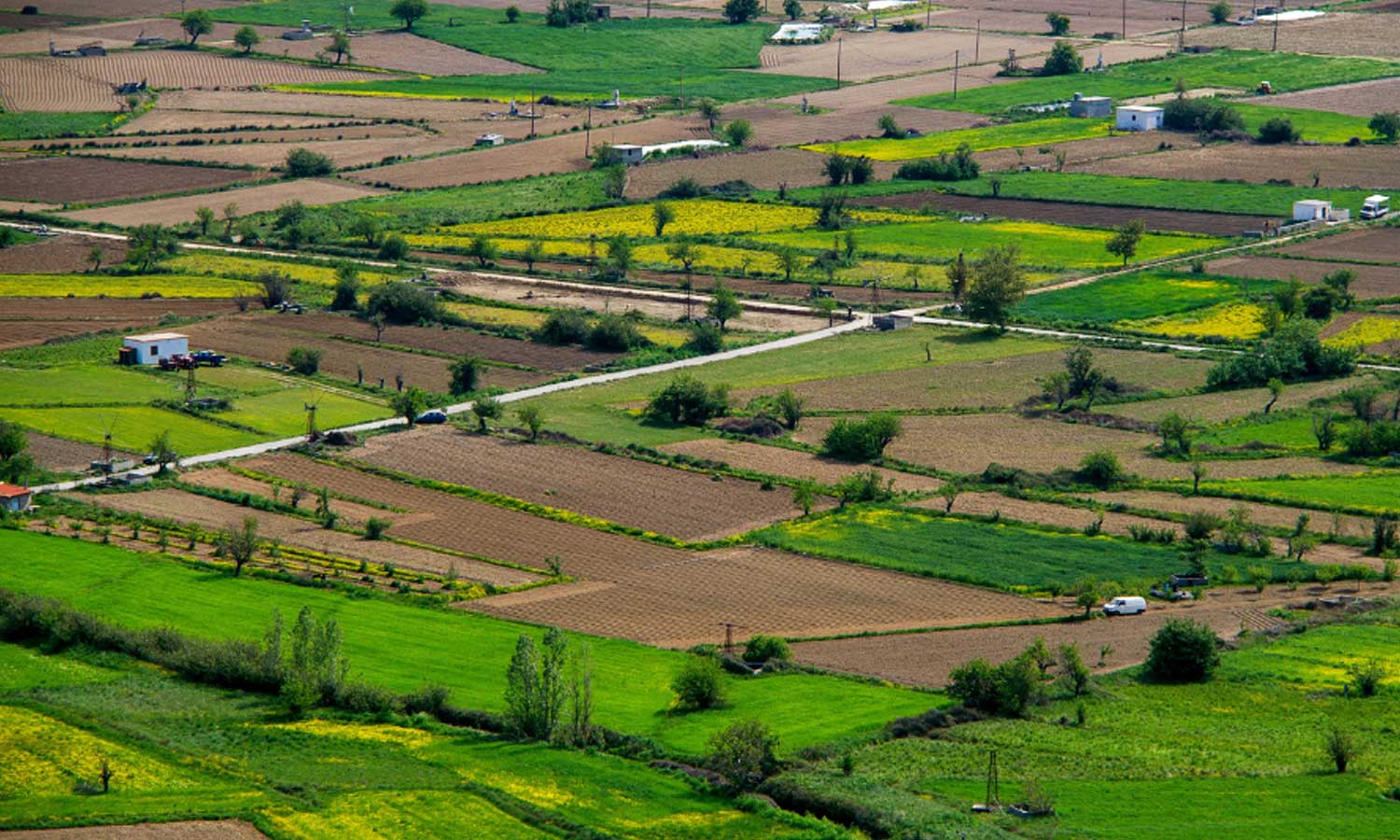 iconexionCapital_Amplia-oferta-de-parcelaciones-genera-interés-de-inversores-a-largo-plazo_01