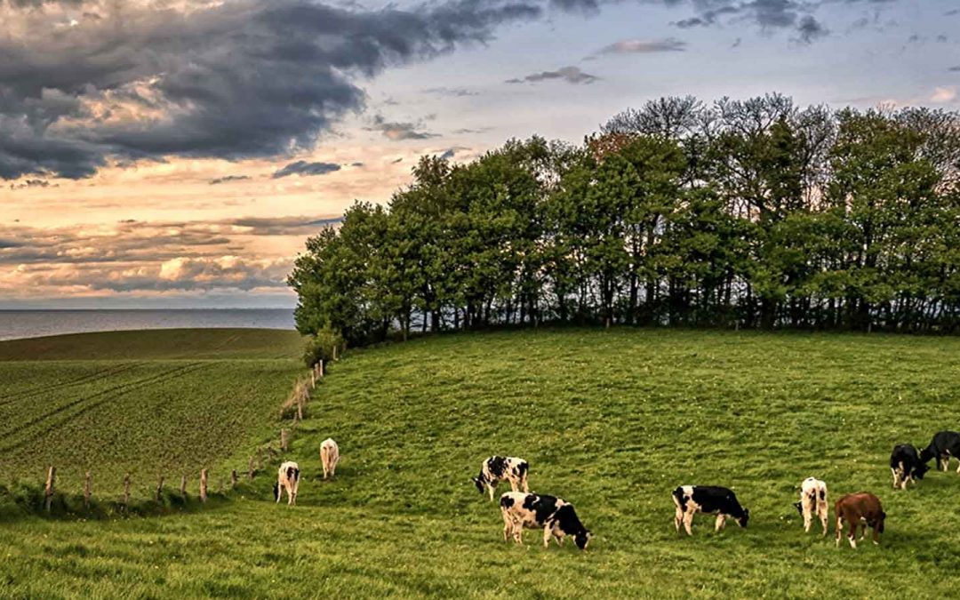 SAG moderniza certificación de subdivisión de predios rústicos.