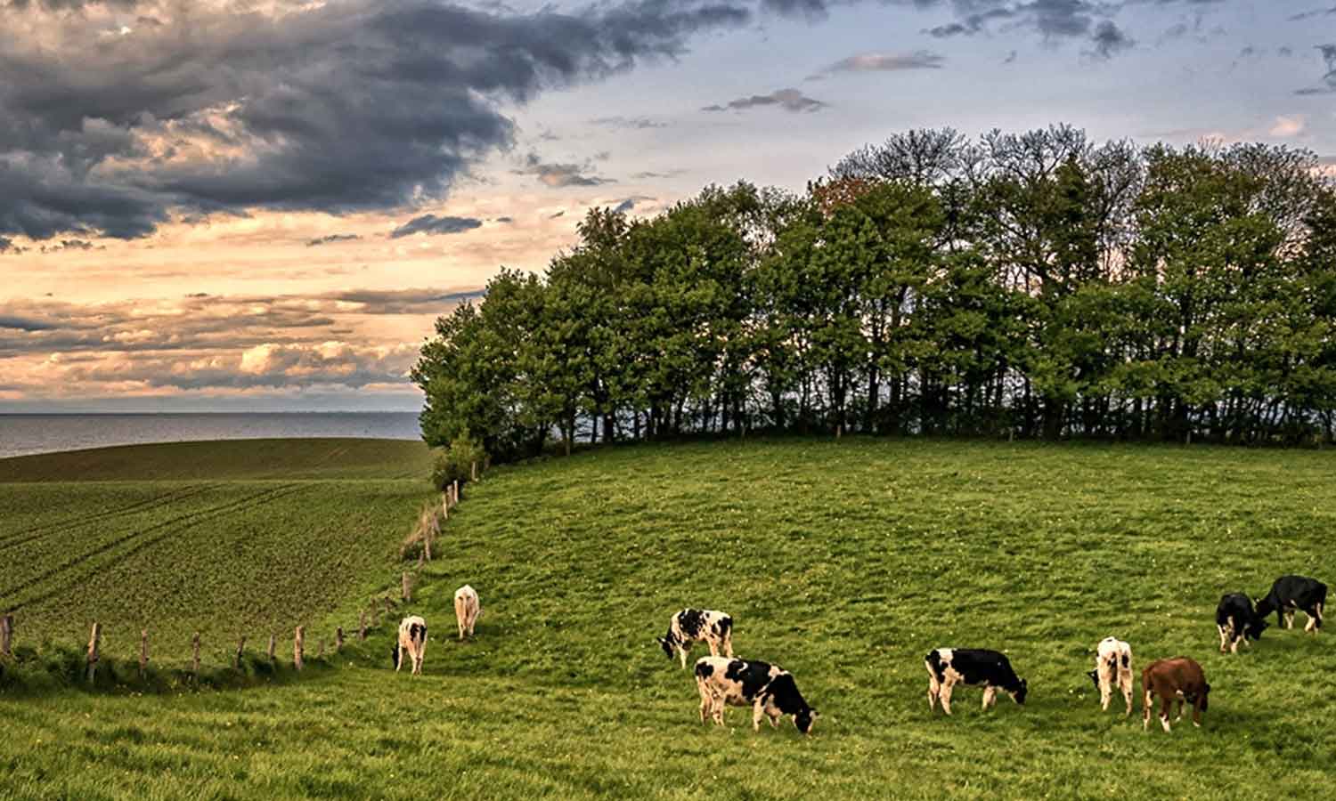 iconexionCapital_SAG-moderniza-certificación-de-subdivisión-de-predios-rústicos._01